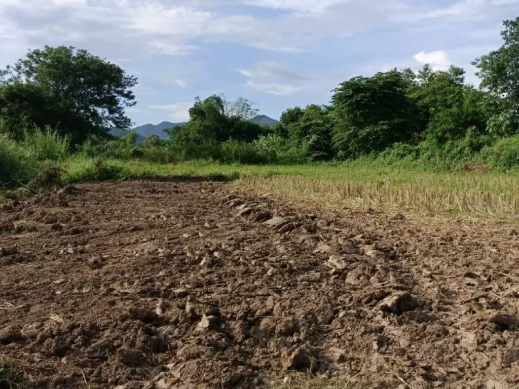 ขายที่ดินติดแม่น้ำขานวิวดอยบ้านน้ำบ่อหลวงสันป่าตองโฉนดพร้อมโ