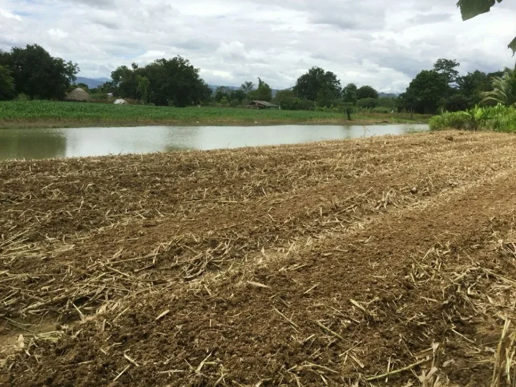 ขายที่ดินจัดสรร โครงการ Greenview at Maechan ติดลำน้ำ