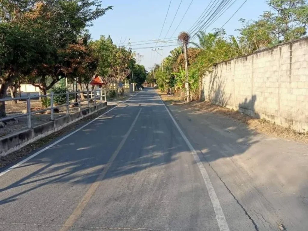 ขายที่สวนลำใบบ้านทุ่งต้อมสันป่าตองห่างถนนหลัก 100เมตร