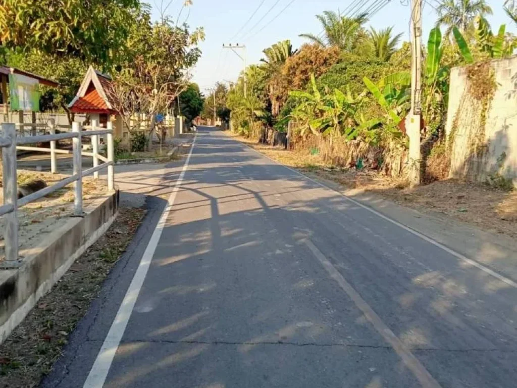 ขายที่สวนลำใบบ้านทุ่งต้อมสันป่าตองห่างถนนหลัก 100เมตร