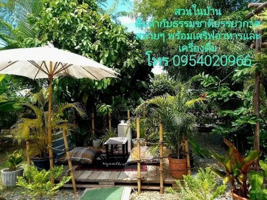 ขายบ้านพร้อมที่ดิน พร้อมสระว่ายน้ำ 5 ไร่ 40 ตรว ตกแต่งพร้อม