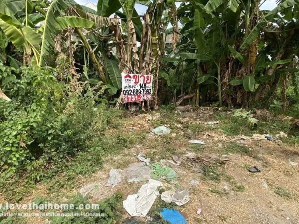 ขายที่ดิน ถนนกำแพงเพชร6 ซอย7 แยก 3-10 พื้นที่148ตรว แปลงสวย