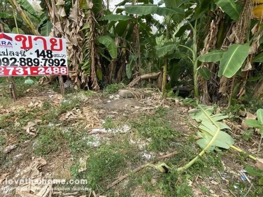 ขายที่ดิน ถนนกำแพงเพชร6 ซอย7 แยก 3-10 พื้นที่148ตรว แปลงสวย