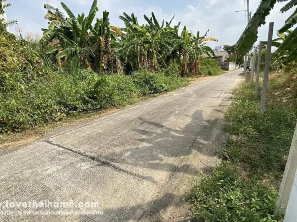 ขายที่ดิน ถนนกำแพงเพชร6 ซอย7 แยก 3-10 พื้นที่148ตรว แปลงสวย