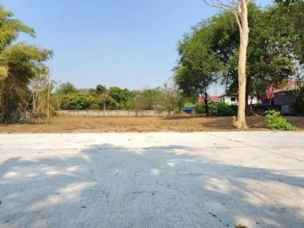 ขายที่ดิน ผังเหลือง 398 ตรว อเมือง จังหวัดเชียงใหม่