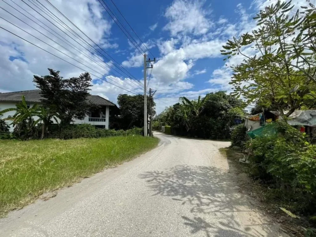 ขายที่ดินหลังหมู่บ้านอรสิริน 6 ติดถนนสองด้านสันปูเลยดอยสะเก็