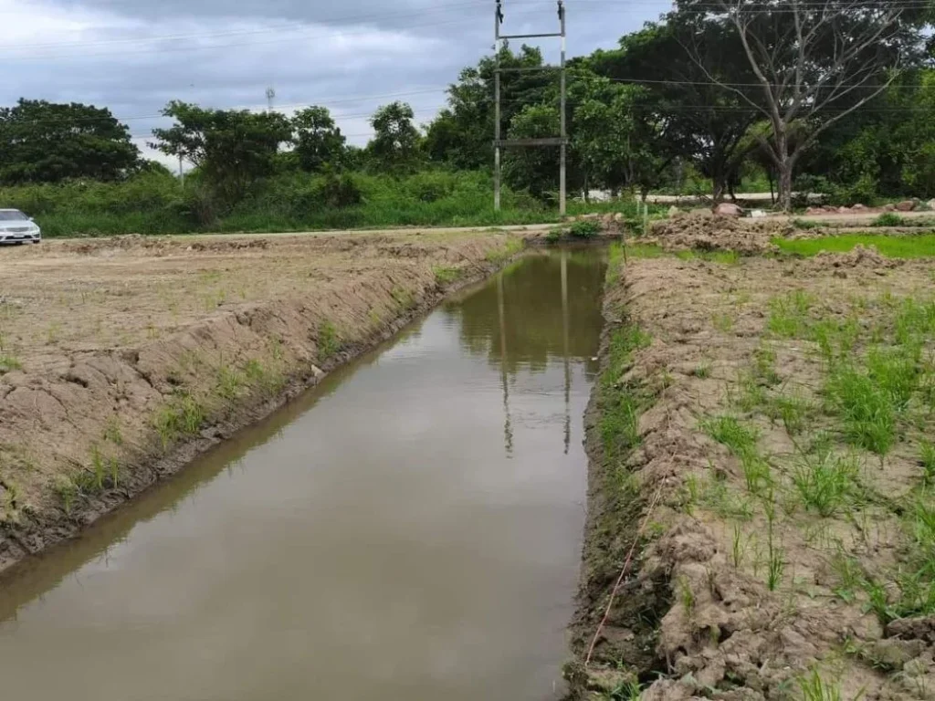 ขายที่ดินท่าวังตาลสารภีใกล้เมืองติดลำเหมืองโฉนดพร้อมโอนราคาถ