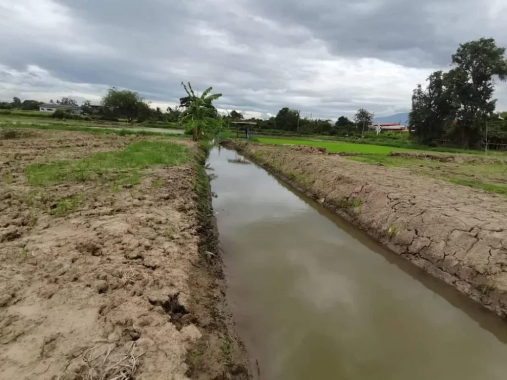 ขายที่ดินท่าวังตาลสารภีใกล้เมืองติดลำเหมืองโฉนดพร้อมโอนราคาถ