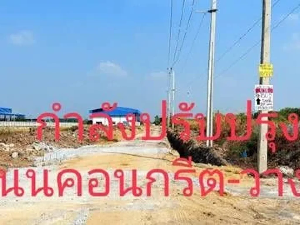 ขายที่ดินไทรน้อย นนทบุรี 150 ตรว วิวทุ่งนา 99