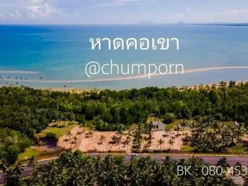 ขายที่ดิน หาดคอเขา หลังสวน ชุมพร ติดถนนเลียบชายหาด