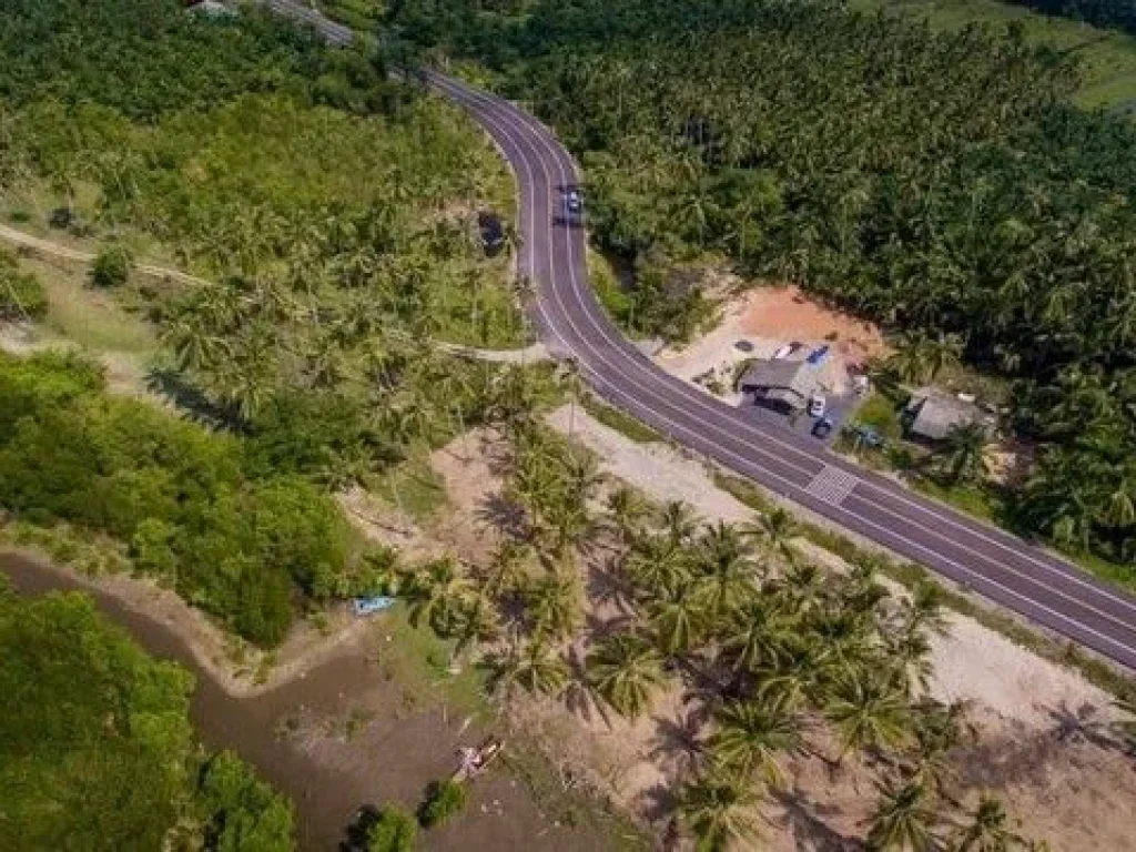 ขายที่ดิน หาดคอเขา หลังสวน ชุมพร ติดถนนเลียบชายหาด