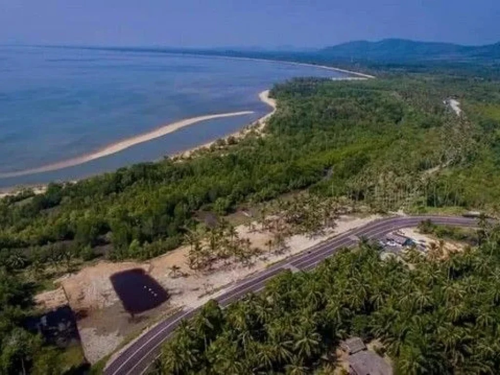 ขายที่ดิน หาดคอเขา หลังสวน ชุมพร ติดถนนเลียบชายหาด