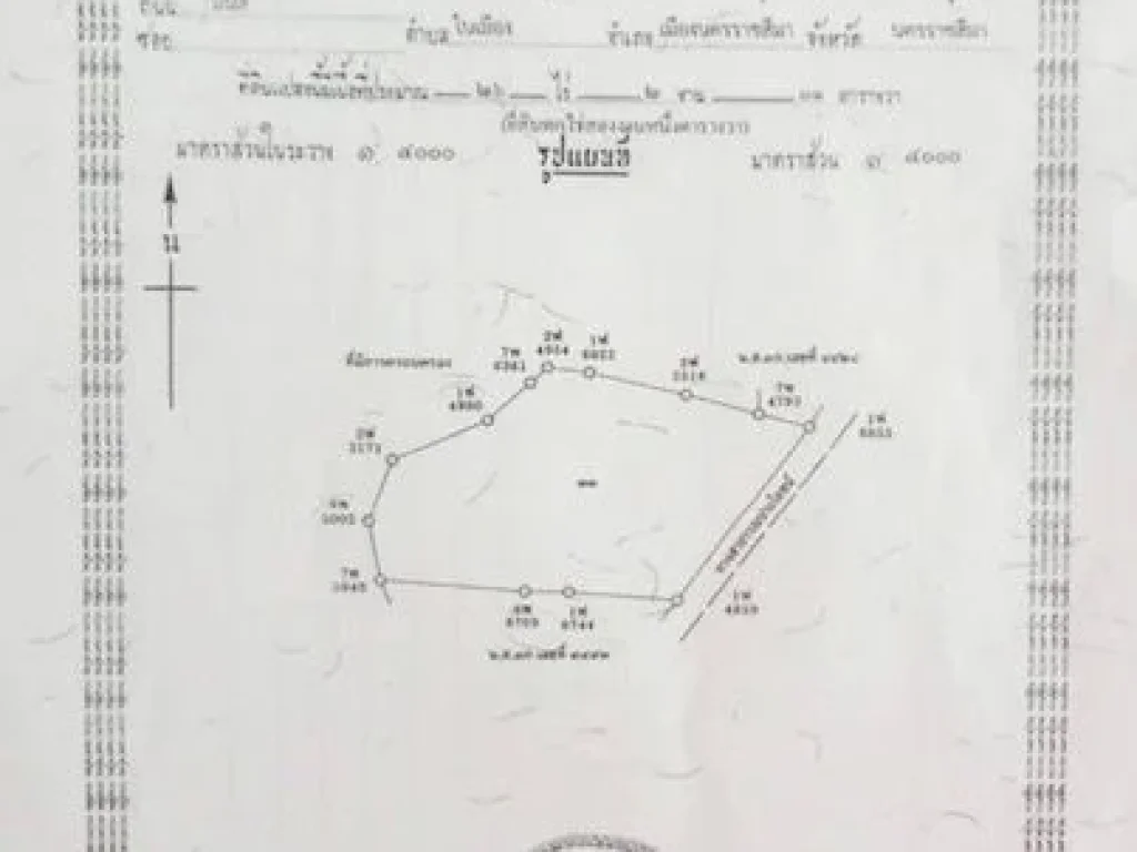 ขายที่ดิน 265ไร่ ใกล้วัดเขาชีป้อม ตำบลตูม อำเภอปักธงชัย