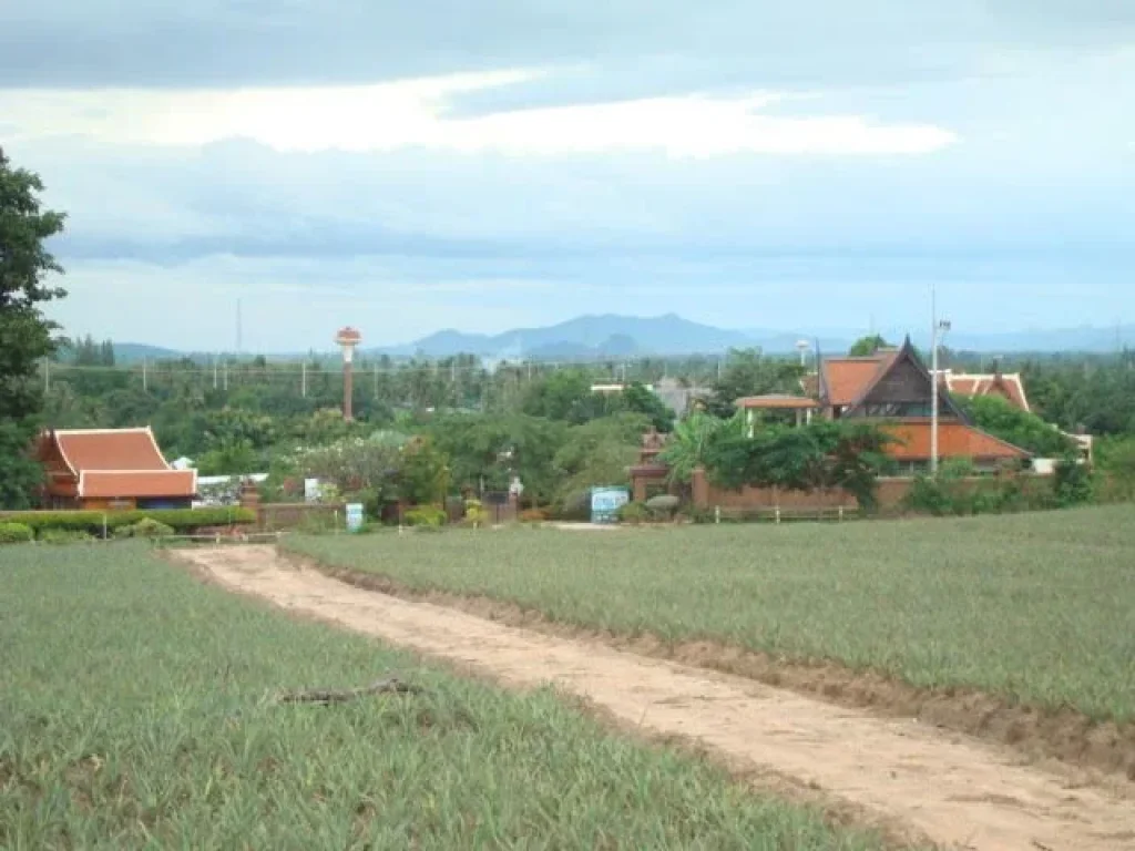 ที่ดินหัวหิน เนินเขา วิวพาโนรามาในเมืองหัวหิน 46 ไร่ ห่างทะเล