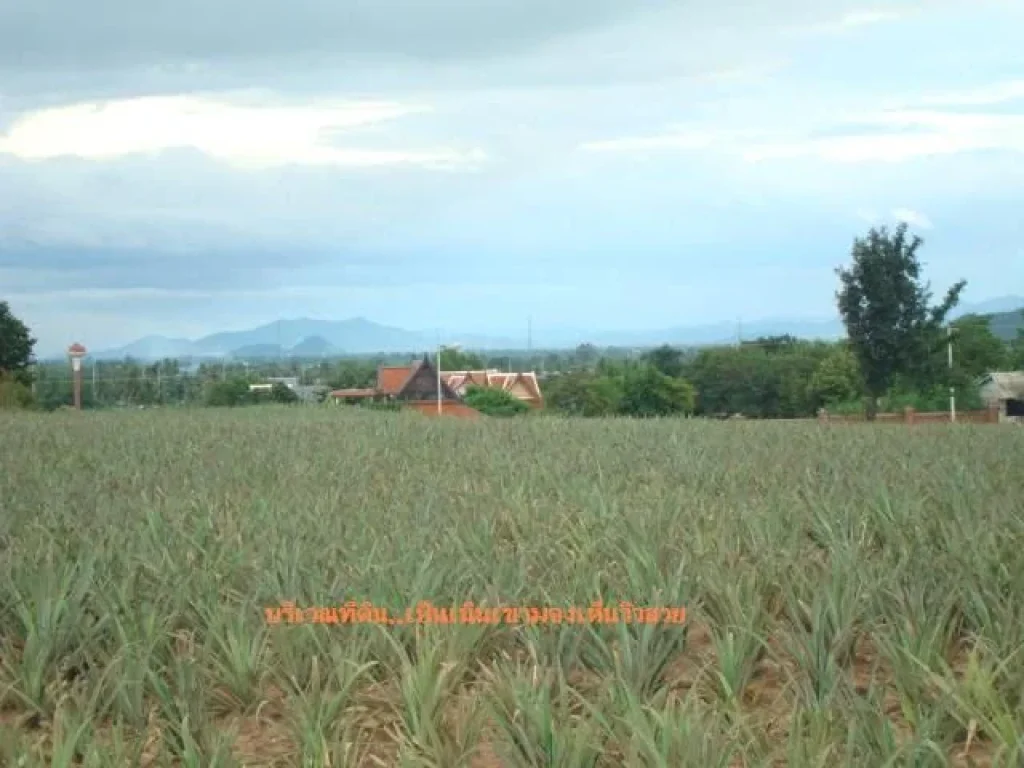 ที่ดินหัวหิน เนินเขา วิวพาโนรามาในเมืองหัวหิน 46 ไร่ ห่างทะเล