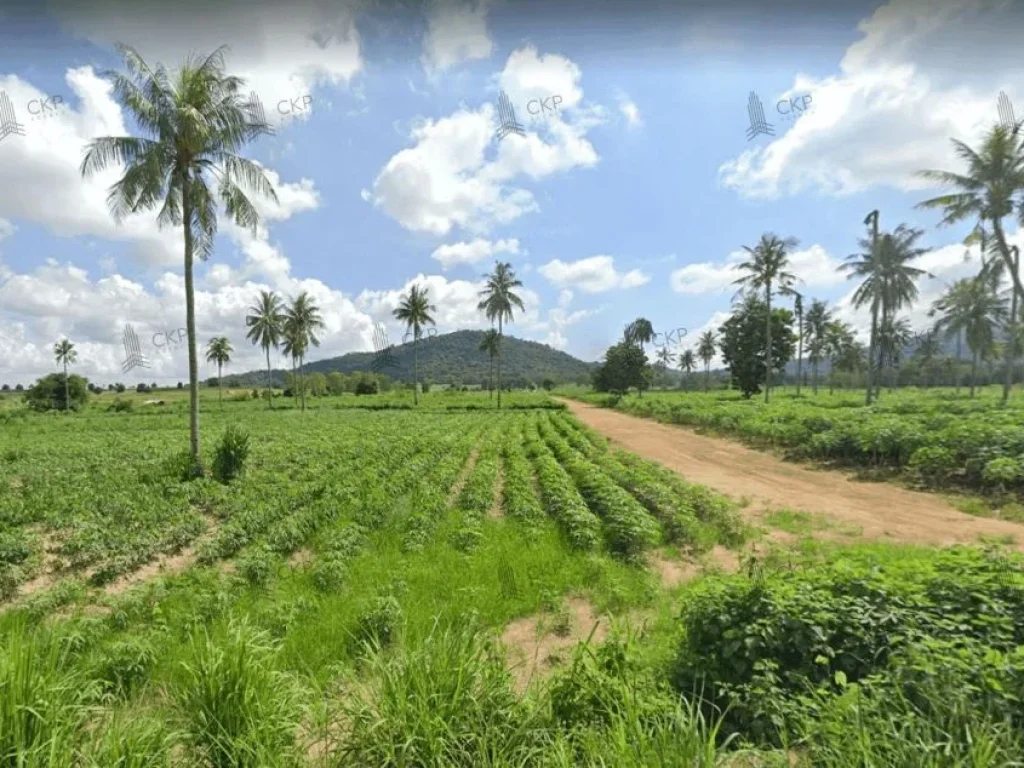 ขาย ที่ดินเปล่า เหมาะสำหรับทำเกษตรกรรมและการเพาะปลูก 2 ไร่ 1