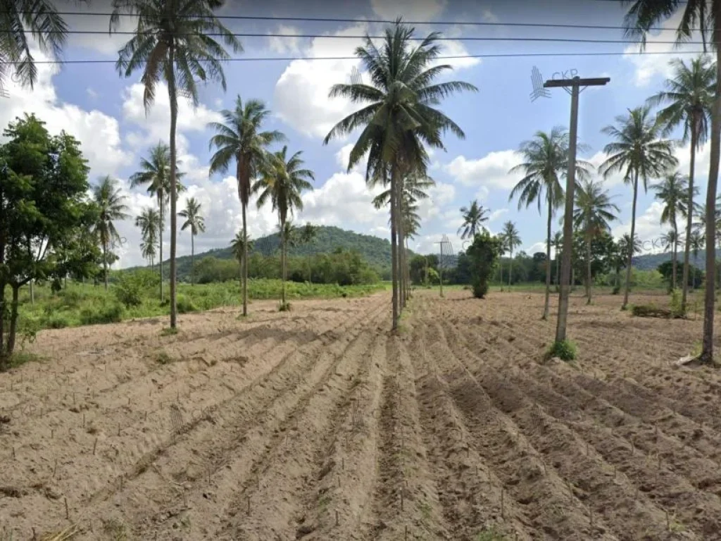 ขาย ที่ดินเปล่า เหมาะสำหรับทำเกษตรกรรมและการเพาะปลูก 2 ไร่ 1