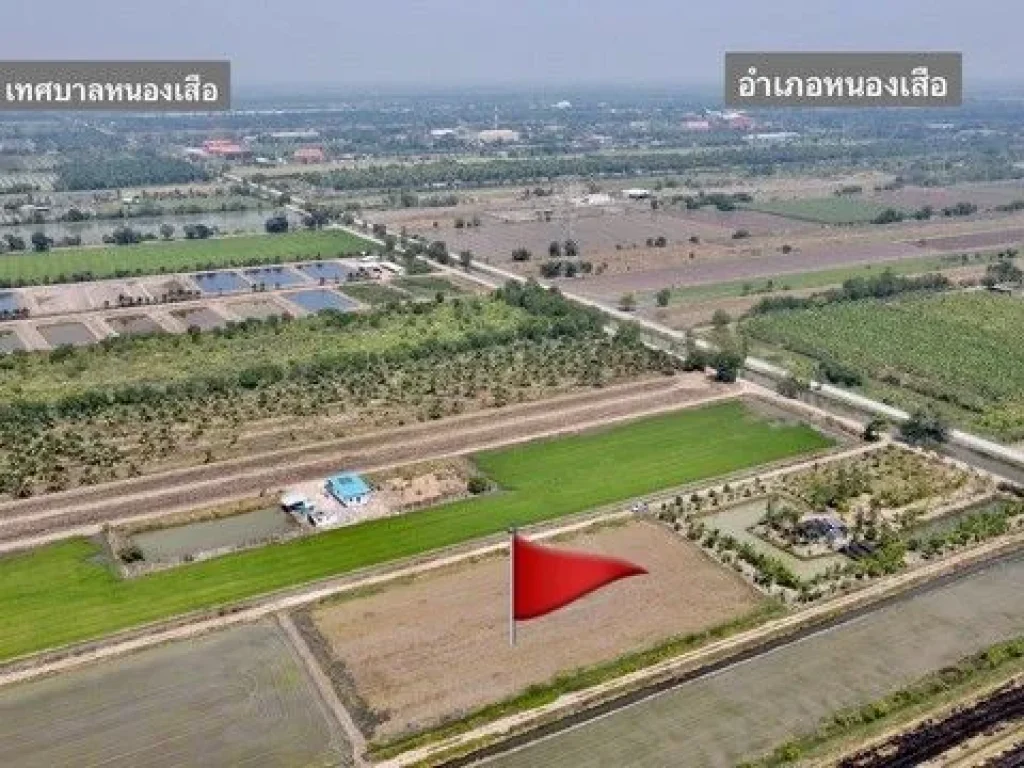 ขายที่ดินบึงบา หนองเสือ 200 ตรว คลอง 9 ใกล้ถเส้นปท4001 -