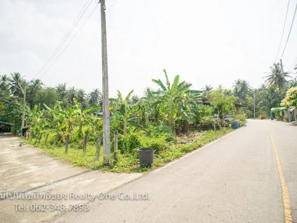 ขาย ที่ดิน ติดถนนซอย บางนกแขวก บางคนที แม่กลอง สมุทรสงคราม