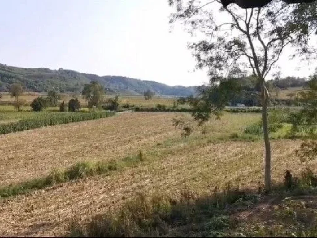 ขายที่ดินเชียงแสน ใกล้สถานีรถไฟเด่นชัย ที่ดินติดทางหลวง