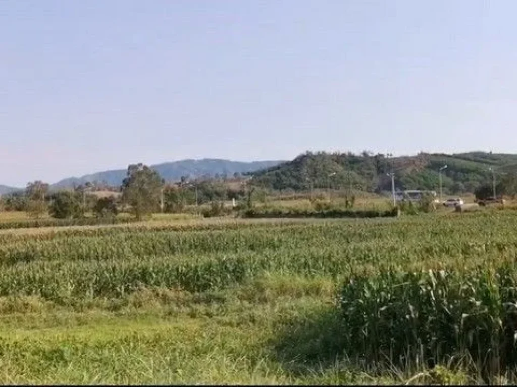 ขายที่ดินเชียงแสน ใกล้สถานีรถไฟเด่นชัย ที่ดินติดทางหลวง