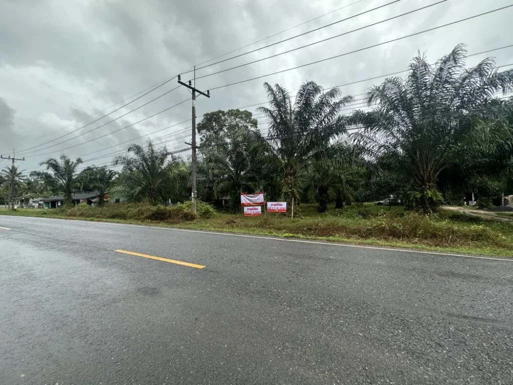 ขายที่ดินท่าชนะ เจ้าของขายเอง ติดถนนทางหลวงสายท่าชนะ-สุราษ