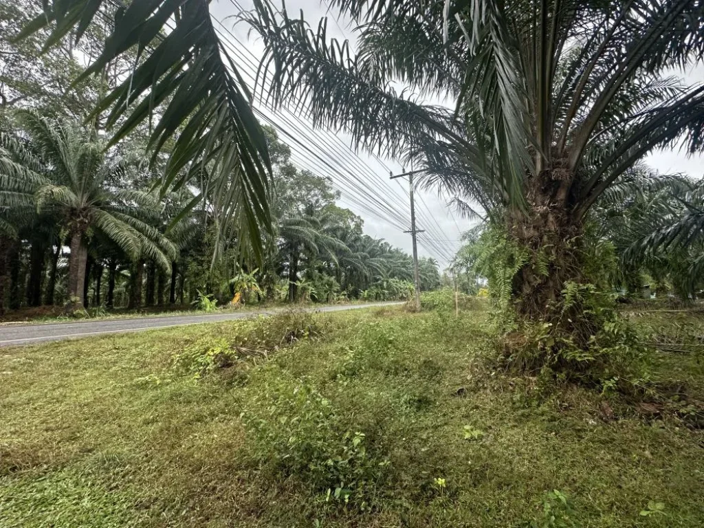 ขายที่ดินท่าชนะ เจ้าของขายเอง ติดถนนทางหลวงสายท่าชนะ-สุราษ