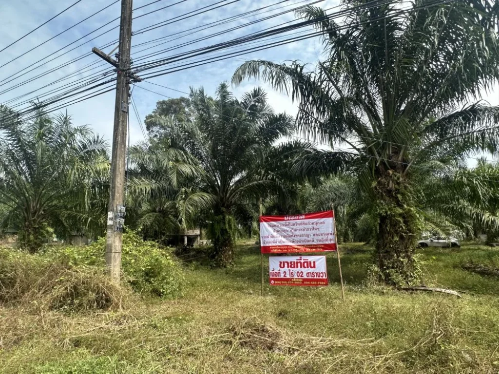 ขายที่ดินท่าชนะ เจ้าของขายเอง ติดถนนทางหลวงสายท่าชนะ-สุราษ