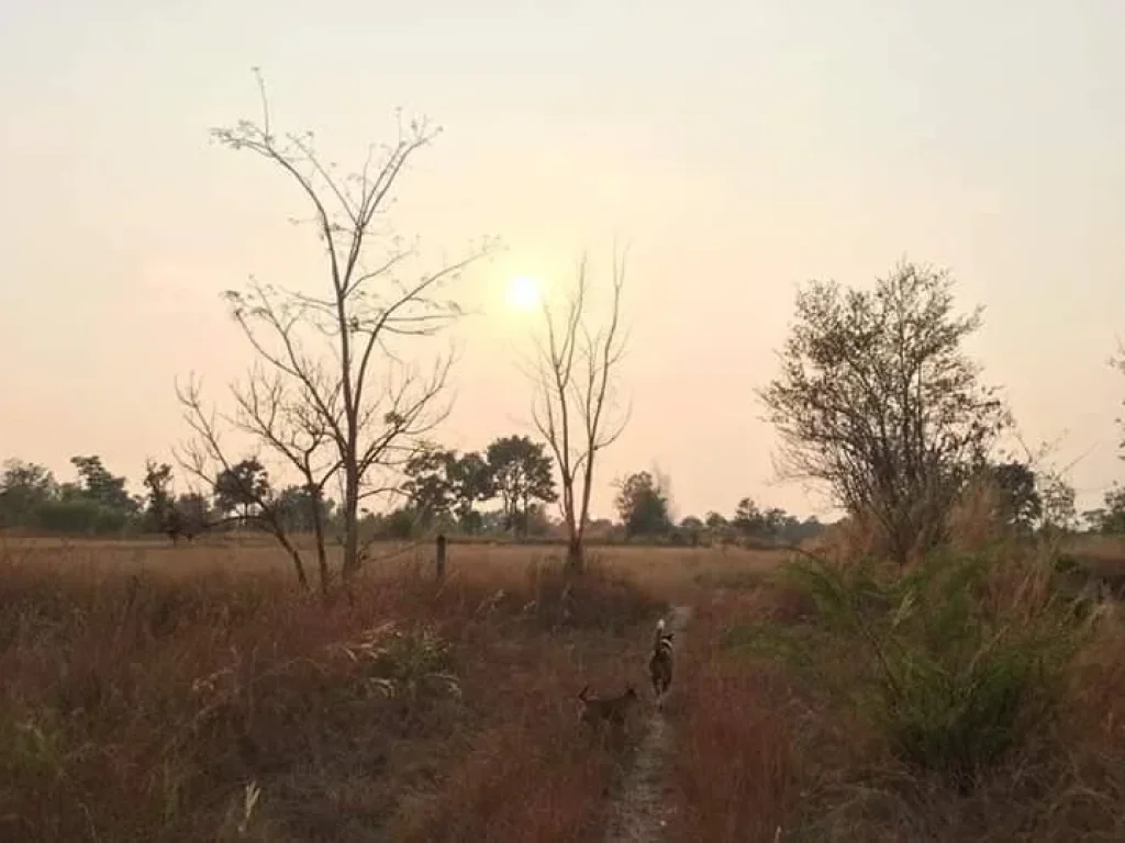 ขายที่ดินวารินชำราบ ใกล้มอุบล เดินทางเพียง7นาทีจากปตทมอุบล