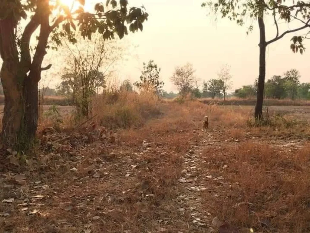 ขายที่ดินวารินชำราบ ใกล้มอุบล เดินทางเพียง7นาทีจากปตทมอุบล