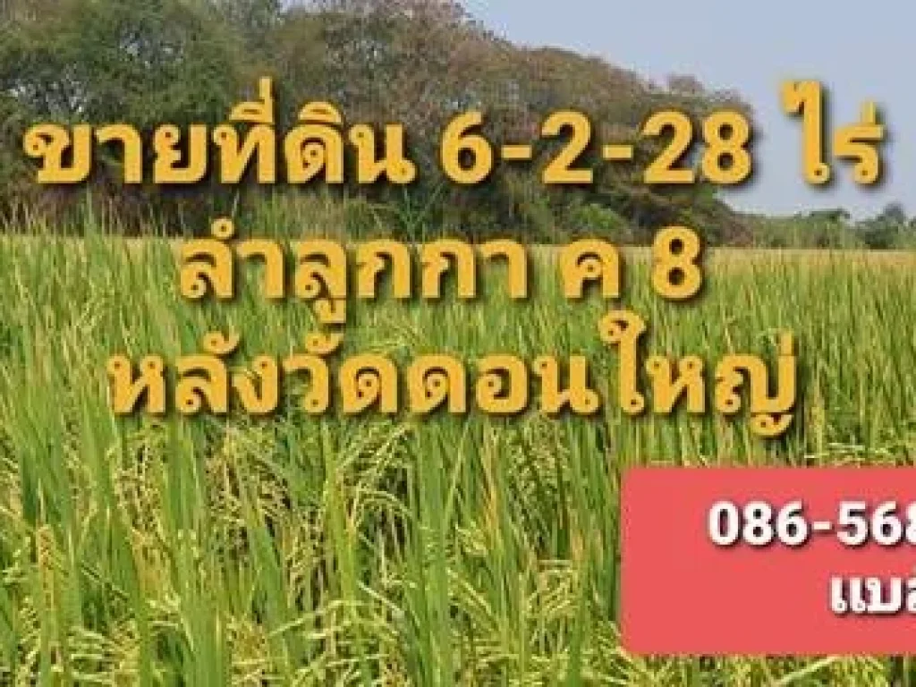 ขายที่ดิน 6 ไร่ ลำลูกกาคลอง 8 ติดถนน ค8 หลังวัดดอนใหญ่