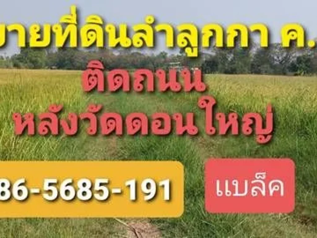 ขายที่ดิน 6 ไร่ ลำลูกกาคลอง 8 ติดถนน ค8 หลังวัดดอนใหญ่