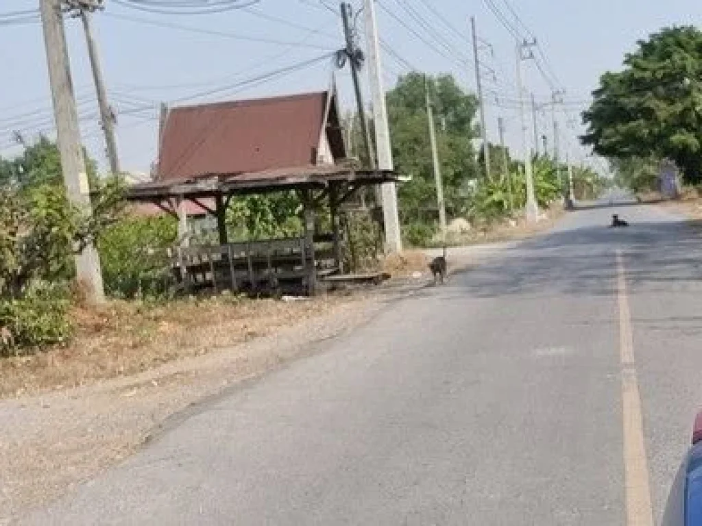 ที่ดินเลียบคลองระพีพัฒน์ 4 ไร่ โรงไฟฟ้าวังน้อย อยุธยา