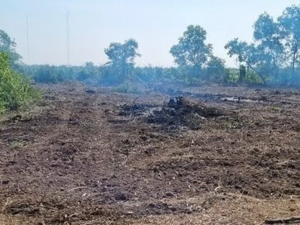 ที่ดินเลียบคลองระพีพัฒน์ 4 ไร่ โรงไฟฟ้าวังน้อย อยุธยา