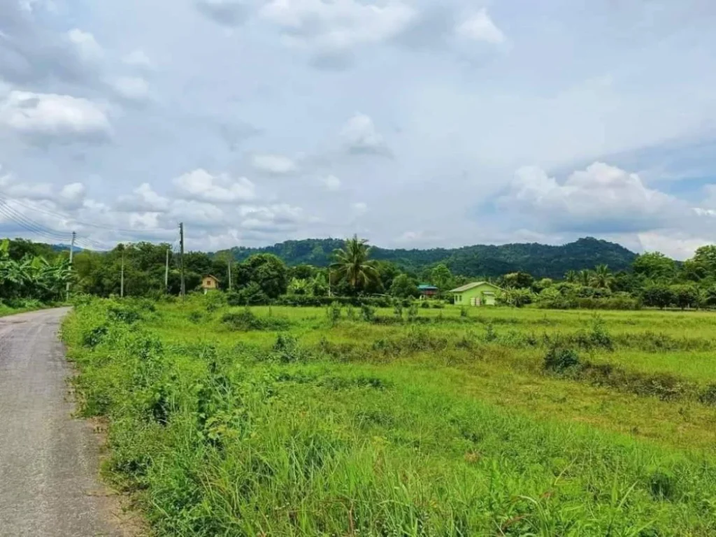 แปลงเล็ก 45 ไร่ วิวเขาล้อม ติดราดยาง น้ำไฟพร้อม เหมาะบ้านสวน