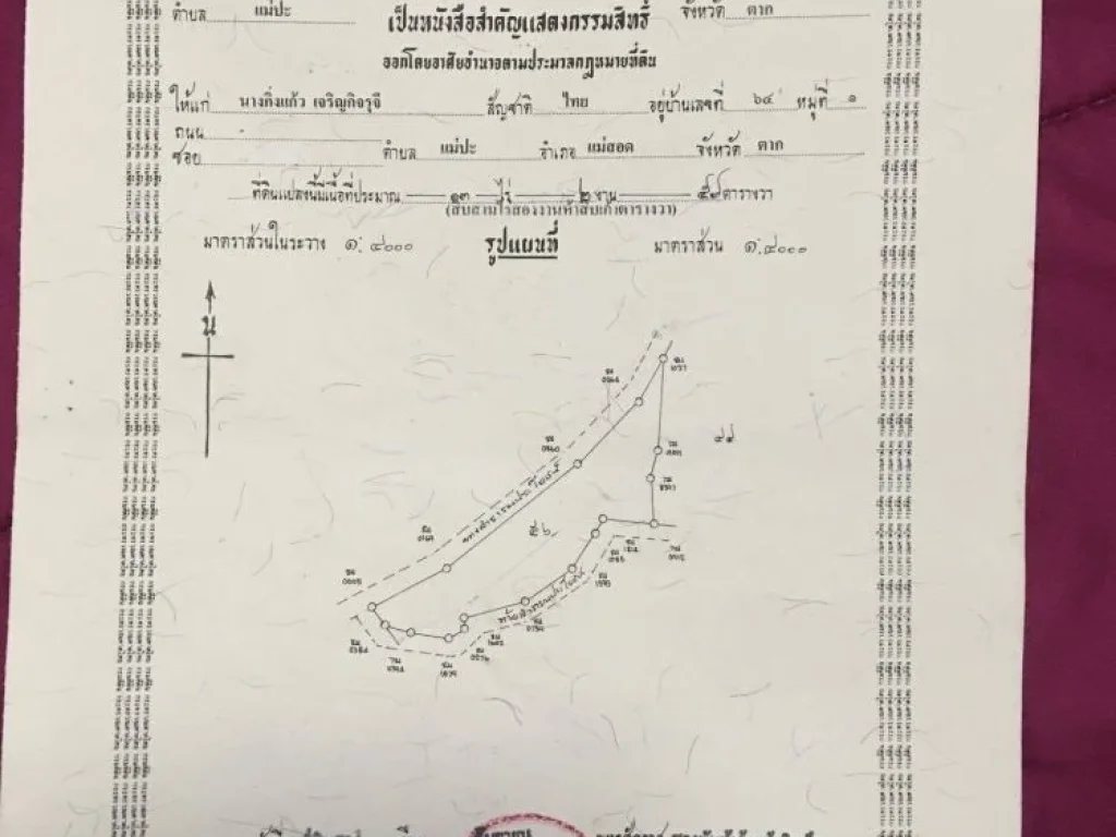 ขายที่ดิน 13 ไร่ 2 งาน 59 ตารางวา ที่ดินใกล้กับสถานรถไฟแม่ป