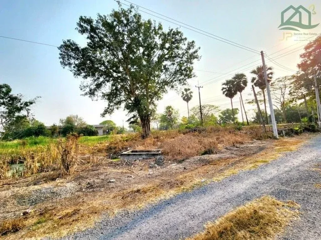 ขายที่ดินติดถนนลาดยางเรียบคลอง คลอง10 หนองเสือ 4 ไร่ ติดถนน 2