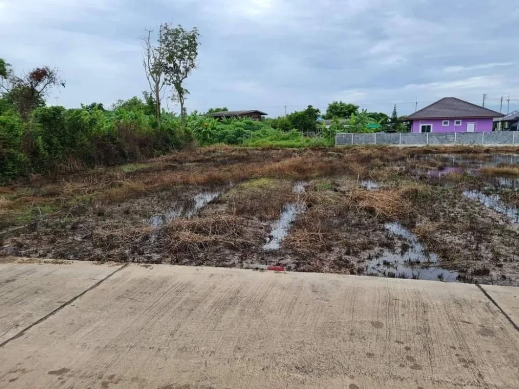 ขายที่ดินหัวสำโรง 200 ตรว บ้านหนองตะเภาซอย 3 ใกล้ถนนเส้น