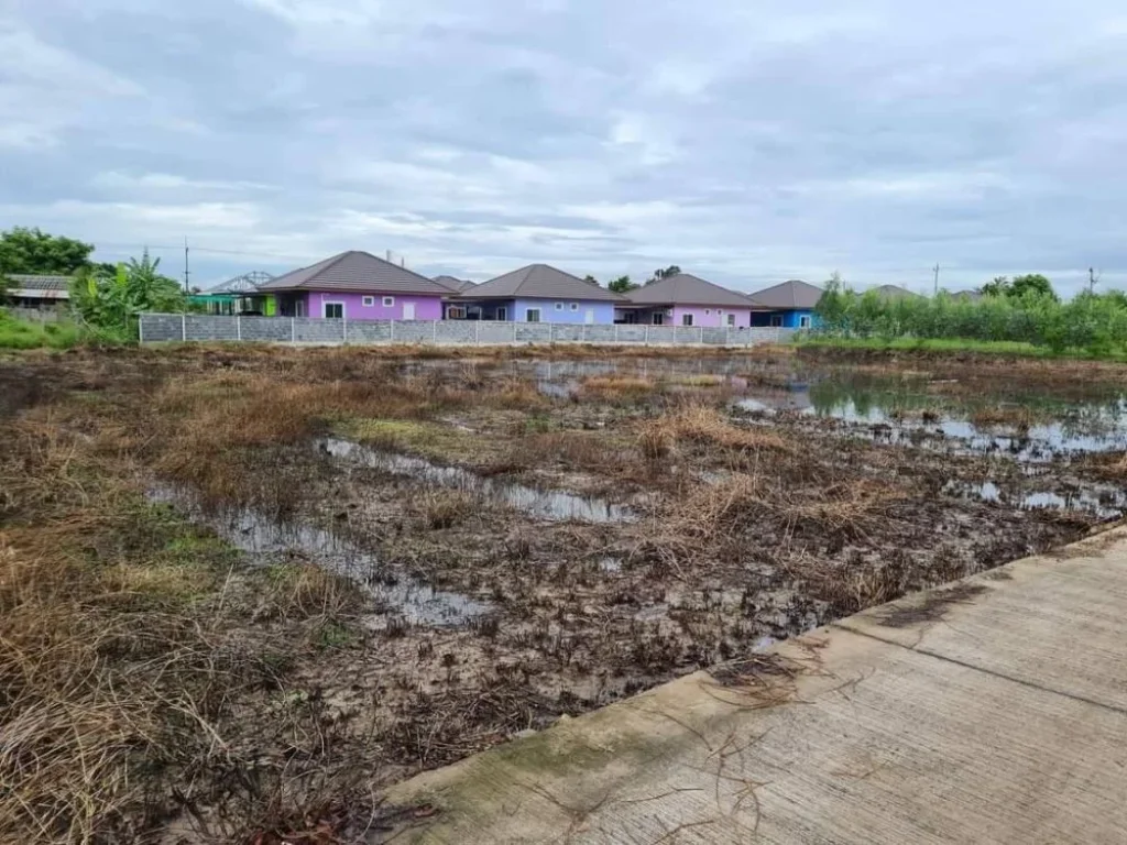 ขายที่ดินหัวสำโรง 200 ตรว บ้านหนองตะเภาซอย 3 ใกล้ถนนเส้น