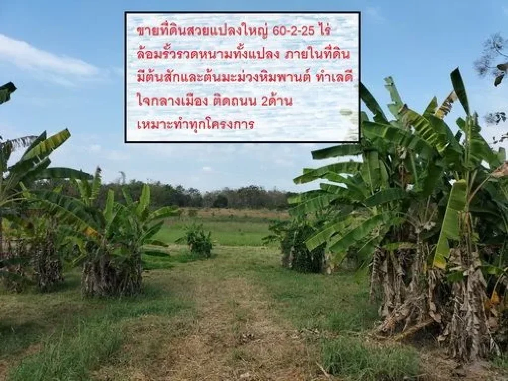 ขายที่ดินสวยแปลงใหญ่ ลดราคาเหลือ 65 ล้าน เนื้อที่ 60-2-25 ไร่