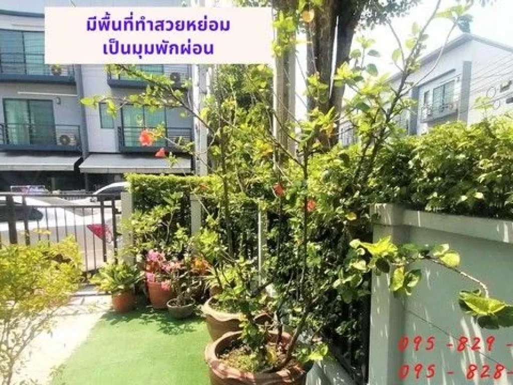 ขายถูกทาวน์โฮมใหม่มาก 24 ตรว บ้านหลังริม บ้านกลางเมือง