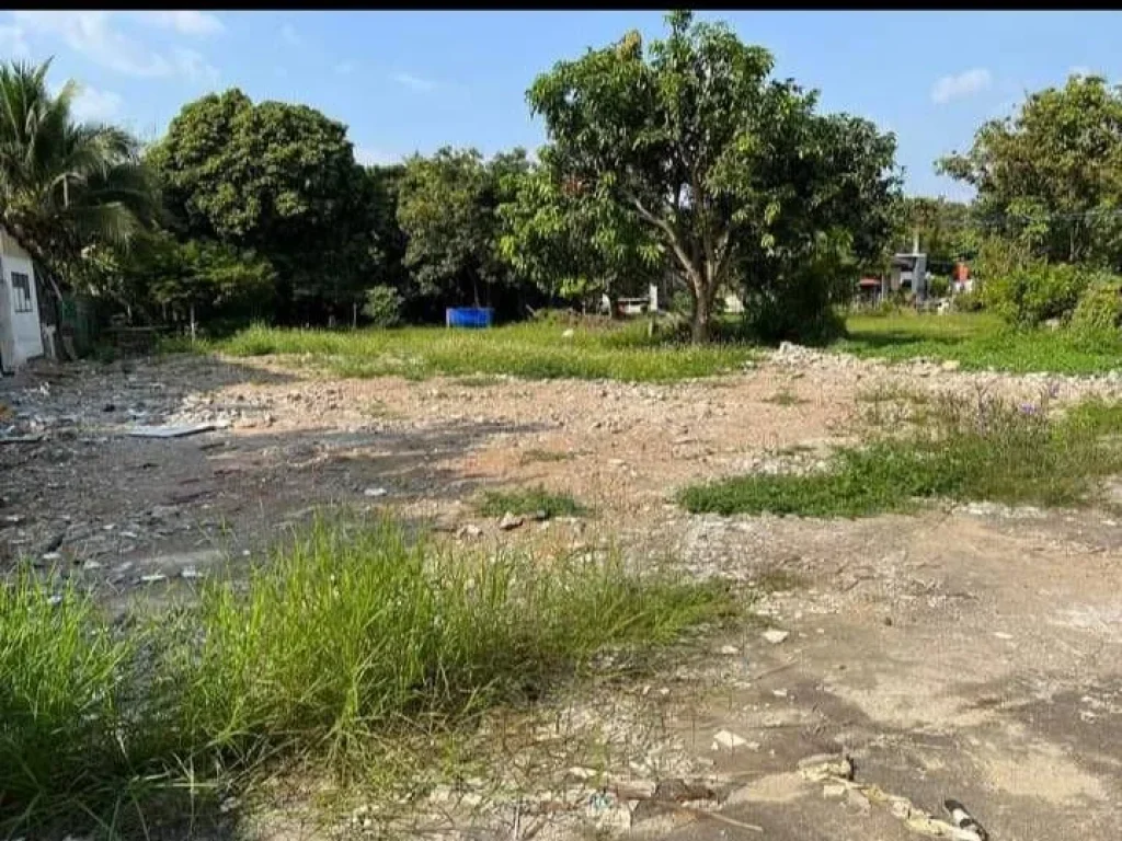 ขายที่ดินบ้านท่ากระดาษตำบลฟ้าฮ่ามถมดินเรียบร้อยพร้อมโอน