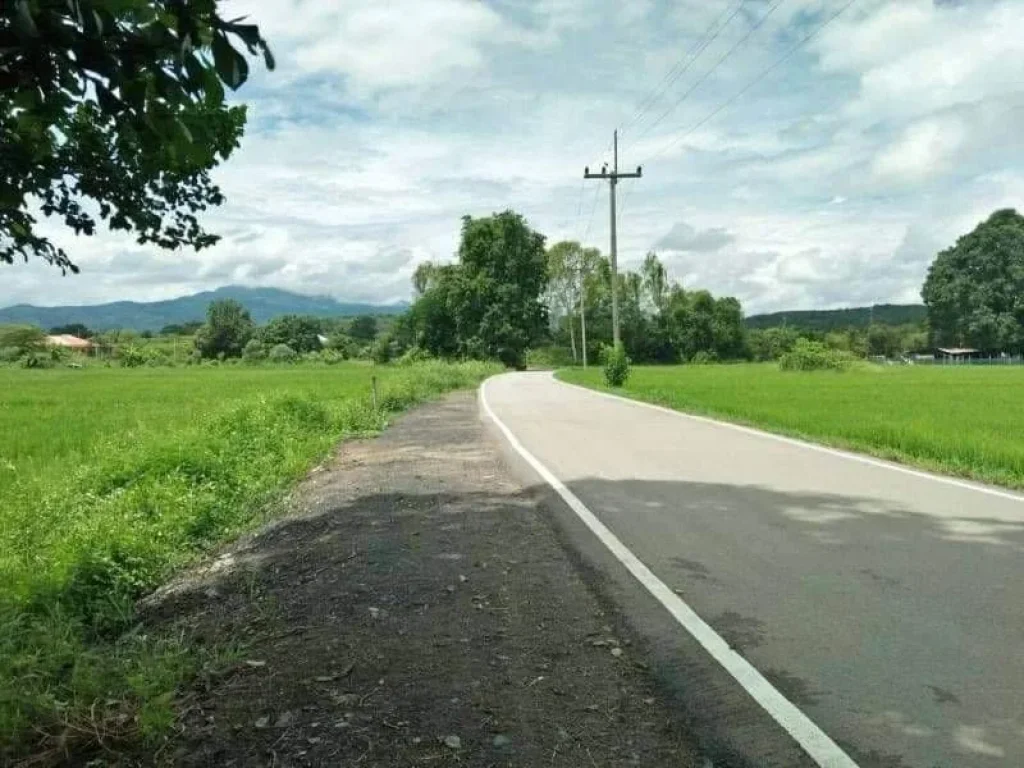 ขายที่นาติดถนนลาดยางบ้านสันโป่งแม่ริมวิวดอยโฉนดพร้อมโอน