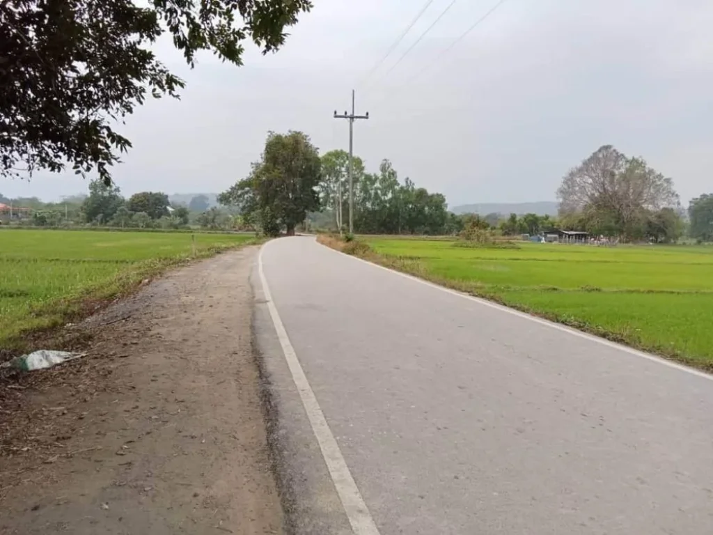 ขายที่นาติดถนนลาดยางบ้านสันโป่งแม่ริมวิวดอยโฉนดพร้อมโอน