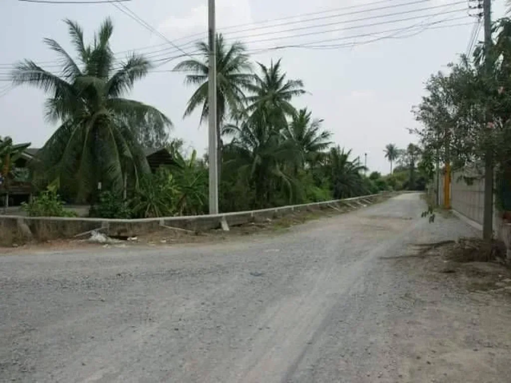 ขายที่ดินอยู่ในซอยสุจินอุทิศ ทางเข้าวัดท่าไม้ ตท่าไม้