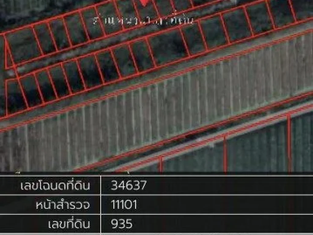 ขายทีดินโครงการอนันตาชัย คลอง13 ธัญบุรี รหัสทรัพย์ 202316