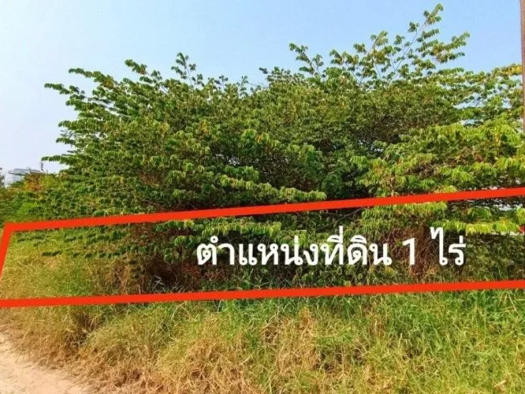 ขายที่ดินเปล่า ถนนกรุงเทพกรีฑา ซอย 8 แยก 10