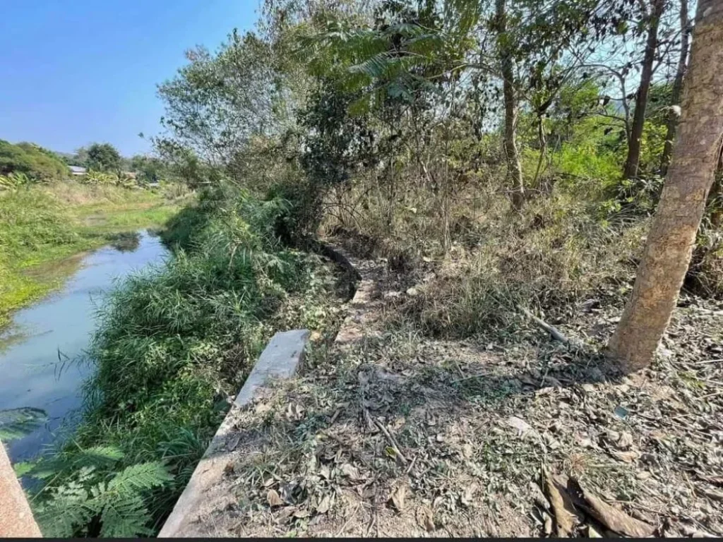 ขายที่ดินวิวดอยติดลำเหมืองตำบลน้ำแพร่หางดงโฉนดพร้อมโอน