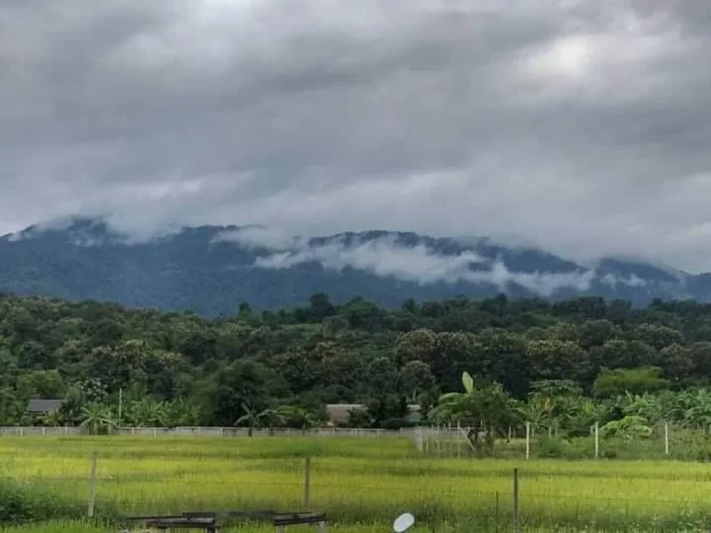 ขายที่ดินวิวดอยบ้านห้วยทรายแม่ริมใกล้ชิดธรรมชาติโฉนดพร้อมโอน