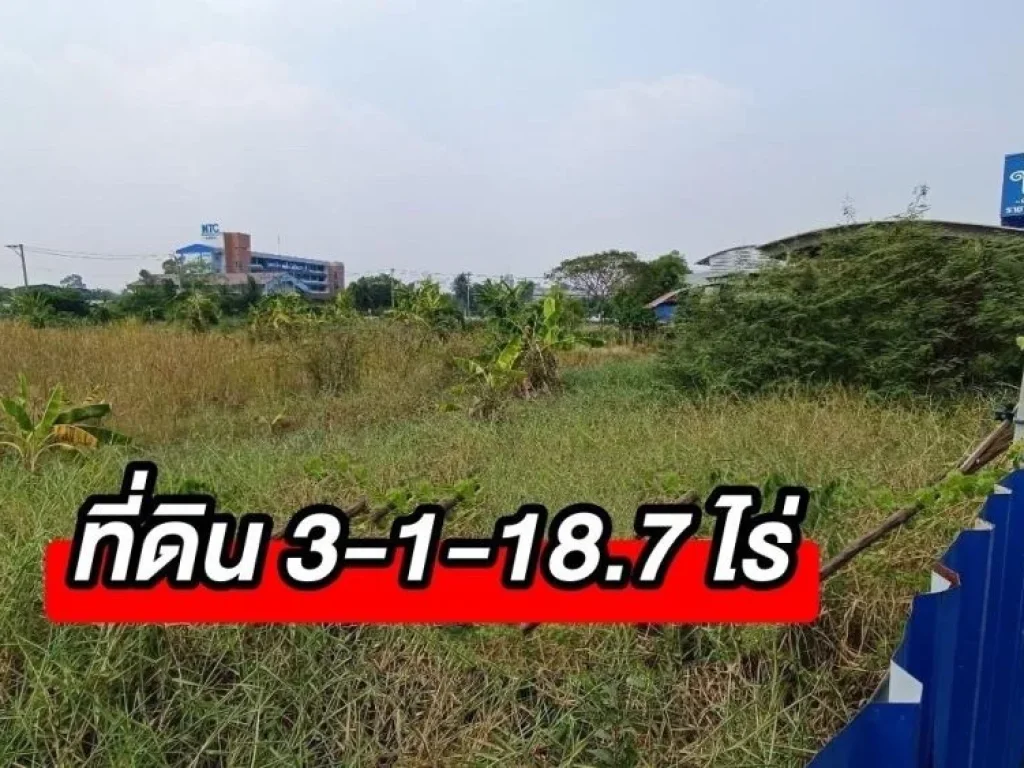 ขายที่ดินเปล่า เนื้อที่ 3-1-187 ไร่ ติดถนนราชพฤกษ์